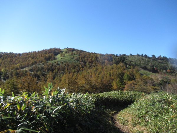 登山道
